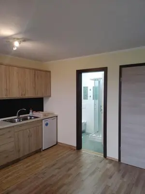 an empty kitchen with a sink and a shower at Studio Maki in Bled