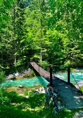 a wooden bridge over a river in a forest at Two Panorama Apartments in Bovec