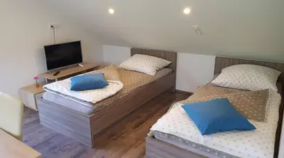 two twin beds in a room with a television at Apartma Cifra Begunje in Begunje na Gorenjskem