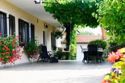 a courtyard with a table and chairs and flowers at Apartma Čuk in Dutovlje