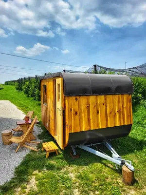 a wooden trailer sitting on the side of a road at Unique wooden holiday house in nature in Lukovica pri Domžalah