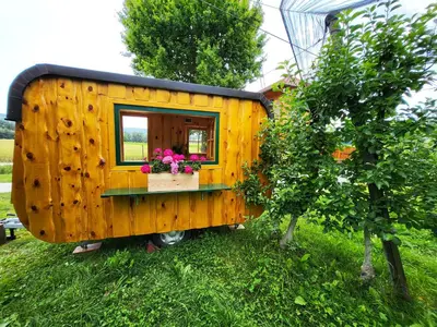 a wooden tiny house with a window in a yard at Unique wooden holiday house in nature in Lukovica pri Domžalah