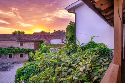 a view from a house with a hedge at Hiša Orel (Orel House) in Križ
