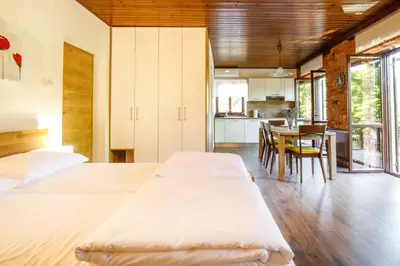 a bedroom with two beds and a table and a kitchen at Danilo's Resort, Vipavska dolina in Dobravlje