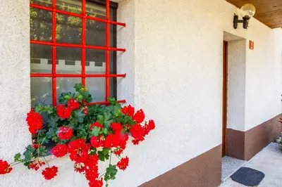 a window with red flowers in a window box at Danilo's Resort, Vipavska dolina in Dobravlje