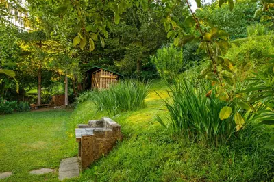 a garden with a wooden house in the background at Danilo's Resort, Vipavska dolina in Dobravlje
