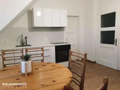 a kitchen and dining room with a wooden table and chairs at Huge BBQ Garden 2, Spacious Flat, AC, Free Parking 2 in Ljubljana