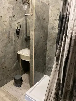 a bathroom with a shower with a sink and a toilet at Živahna hiša in Sveti Jurij ob Ščavnici
