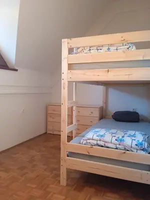 a bedroom with a bunk bed with a ladder at Čebelica, apartma 101, Terme Čatež in Brežice