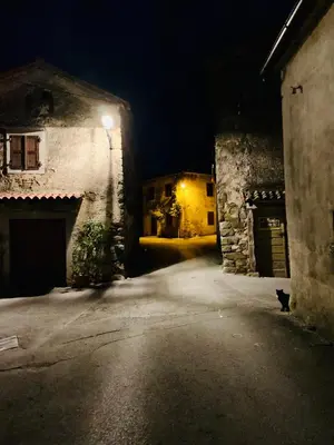 a cat is standing in an alley at night at Samson and the Lilo in Vipava