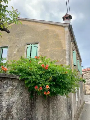 a building with a window with flowers on a wall at Samson and the Lilo in Vipava