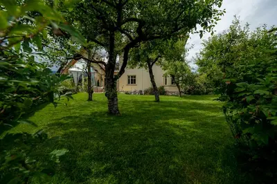 a yard with trees and a house in the background at Villa Rory in Bled