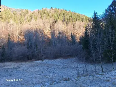 a field with trees in front of a mountain at Apartma Aurora in Kranjska Gora