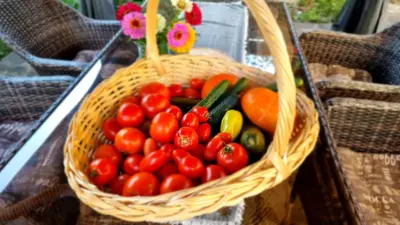 a basket of tomatoes and other vegetables on a table at Apartment Sneznik in Stari Trg pri Ložu