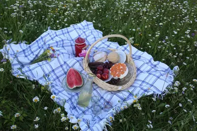 a picnic blanket with a basket of fruit on it at Apartment Sneznik in Stari Trg pri Ložu