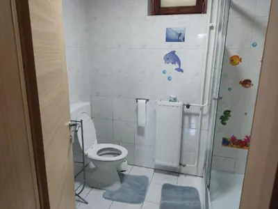 a bathroom with a toilet and a shower at Dream Apartment Brglez in Bohinjska Bela