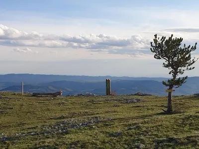 a tree sitting on top of a grassy hill at B&B Margarita in Cerkovna