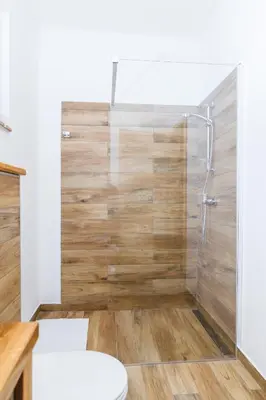 a bathroom with a shower and a toilet at Roner Resort in Plavje