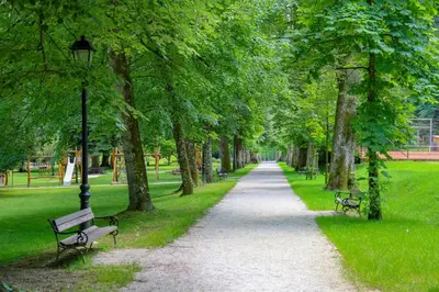 a path in a park with benches and trees at Spa Suite Dobrna - Terme Dobrna in Dobrna