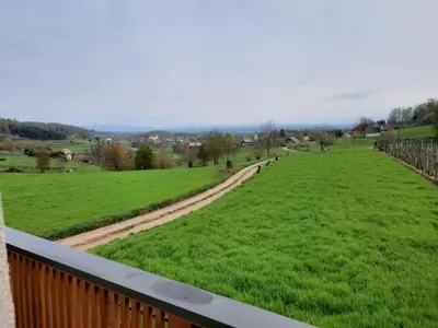 a view of a field from the deck of a house at Vineyard cottage Klobčar in Semič