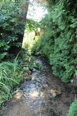 a stream of water in a forest with trees at Villa Toni in Bled
