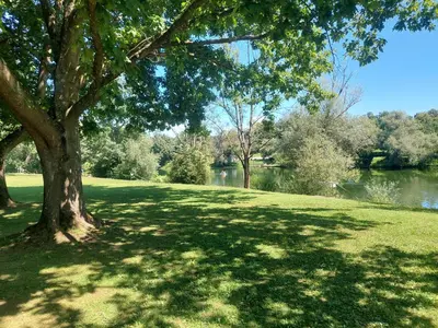 a tree in a field next to a body of water at GM House, mobile house near Kolpa river in Metlika
