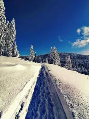 a person is walking down a snow covered slope at Rogla - Apartma ROŽLE in Vitanje