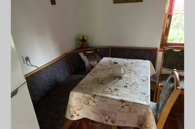a table with a vase sitting on top of it at Oaza miru v sožitju z naravo in Sveti Jurij ob Ščavnici