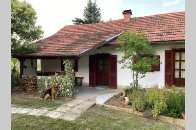 two dogs sitting in front of a house at Oaza miru v sožitju z naravo in Sveti Jurij ob Ščavnici