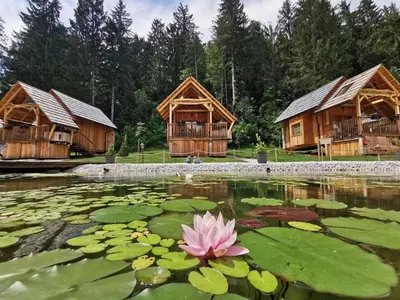 a pink water lily in a pond with wooden huts at Ribno Luxury Glamping in Bled