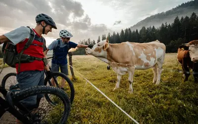two men on bikes petting a cow in a field at Ribno Luxury Glamping in Bled
