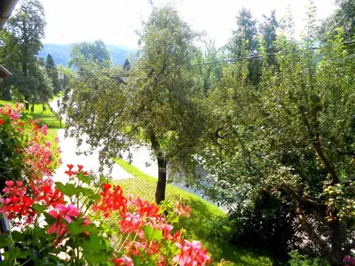 a garden with flowers and a tree and a river at V objemu gora in Bohinj