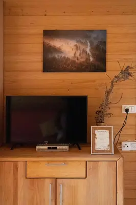 a flat screen tv sitting on top of a entertainment center at V objemu gora in Bohinj