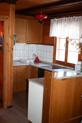 a kitchen with wooden cabinets and a counter top at Hišica 70 in Čatež ob Savi