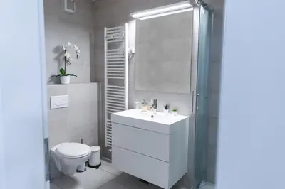a bathroom with a toilet and a sink and a shower at Vigorous Bled Apartment in Bled