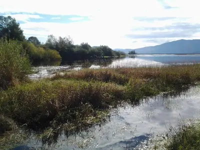 a body of water with some grass and some trees at Apartments Vrdjan in Cerknica