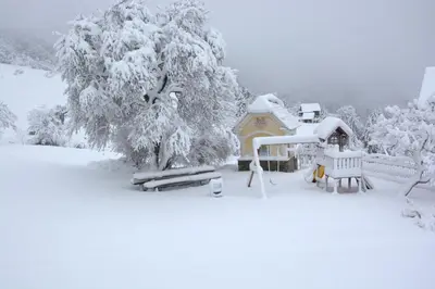 a snow covered yard with a house and trees at Guesthouse Močivnik in Okroglice