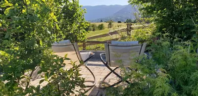 two chairs sitting on a patio in a garden at Lipizzaner Lodge Guest House in Postojna