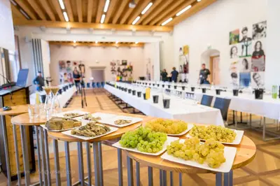 a row of tables with plates of food on them at Vila Vipolže - Rooms & J. Suites in Vipolže