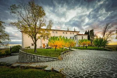 a large white building with a tree in front of it at Vila Vipolže - Rooms & J. Suites in Vipolže
