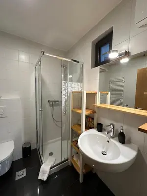 a bathroom with a sink and a shower at Apartment Hribovc with atrium and free parking in Kranjska Gora