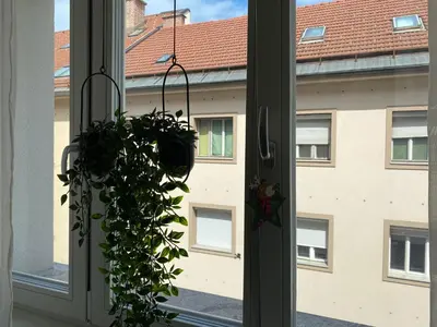 a plant hanging from a window with a building at Boennium Apartments in Ljubljana