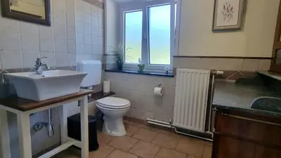 a bathroom with a sink and a toilet and a window at Hisa Brdo Guesthouse in Tolmin