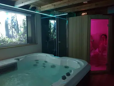 a bathroom with a tub with a window and a shower at Accommodation Resman in Bohinj
