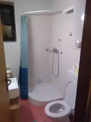 a bathroom with a shower and a toilet and a sink at Apartma Anja in Zgornje Gorje