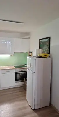 a kitchen with a refrigerator and a stove at Apartma Anja in Zgornje Gorje