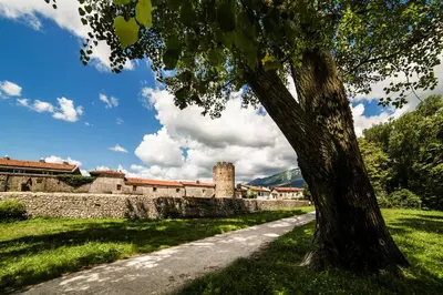 a tree next to a wall with a castle at Panorama glamping Vipavska dolina in Dobravlje