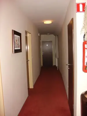 a long hallway with a red carpet and a door at B&B Janežič in Ljubljana