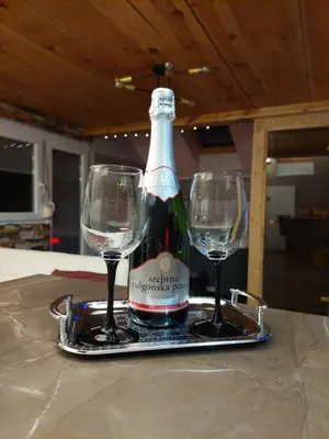 a bottle of wine and two wine glasses on a tray at Apartment Mastnak - Private Wellness & Jacuzzi in Laško