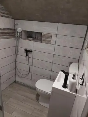 a bathroom with a toilet and a shower at Apartment Mastnak - Private Wellness & Jacuzzi in Laško